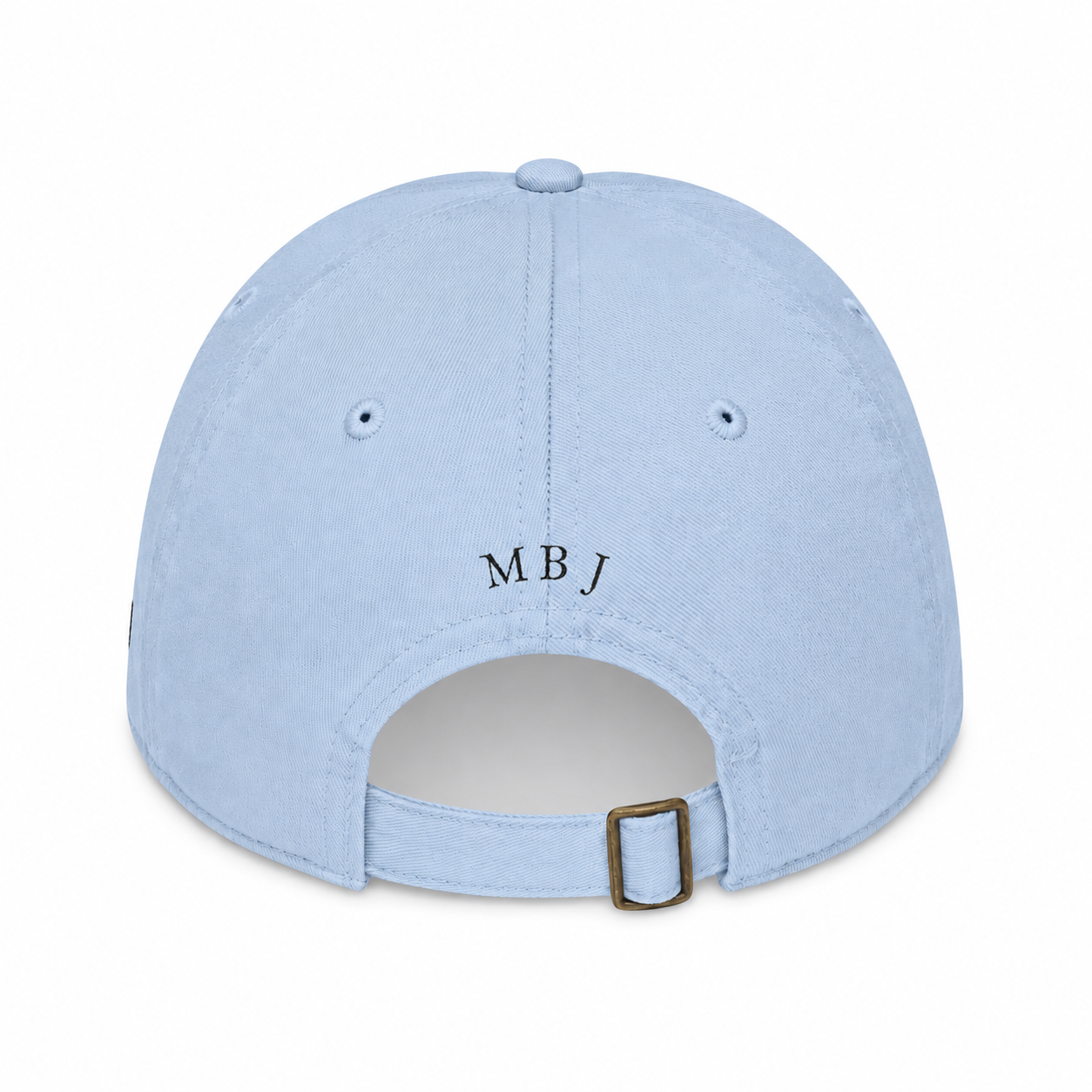 Youth Swan Energy Hat (Light Colors)