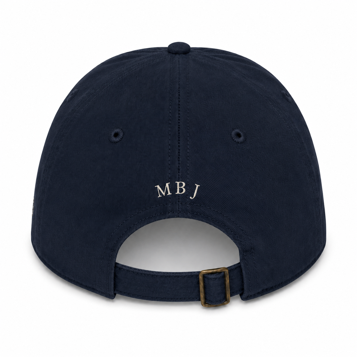 Youth Swan Energy Hat (Dark Colors)